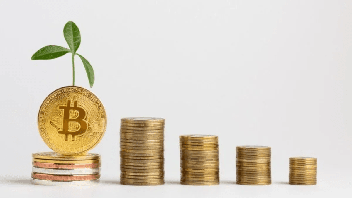 El Impacto Ambiental de las Criptomonedas: Mitos y Realidades